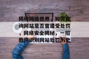揭秘网络世界，如何查询网站是否曾遭受处罚，网络安全揭秘，一招教你识别网站处罚历史