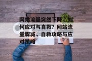 网站流量突然下降，如何应对与自救？网站流量骤减，自救攻略与应对策略