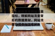 深入解析常见网站流量指标，理解网站流量背后的数据奥秘，网站流量数据奥秘深度解析