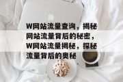 W网站流量查询，揭秘网站流量背后的秘密，W网站流量揭秘，探秘流量背后的奥秘
