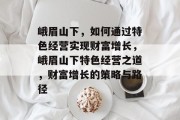峨眉山下，如何通过特色经营实现财富增长，峨眉山下特色经营之道，财富增长的策略与路径