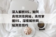 深入解析IIS，如何高效浏览网站，高效掌握IIS，深度解析网站浏览技巧