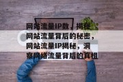 网站流量IP数，揭秘网站流量背后的秘密，网站流量IP揭秘，洞察网络流量背后的真相