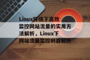 Linux环境下高效监控网站流量的实用方法解析，Linux下网站流量监控利器解析