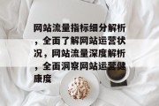 网站流量指标细分解析，全面了解网站运营状况，网站流量深度解析，全面洞察网站运营健康度