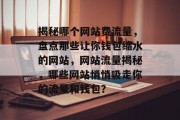 揭秘哪个网站费流量，盘点那些让你钱包缩水的网站，网站流量揭秘，哪些网站悄悄吸走你的流量和钱包？