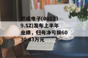 积成电子(002339.SZ)发布上半年业绩，归母净亏损6030.43万元