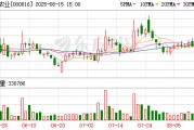 智慧农业：2025年半年度净利润约977万元