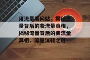 用流量看网站，揭秘流量背后的费流量真相，揭秘流量背后的费流量真相，流量消耗之谜