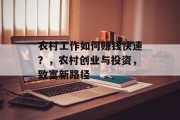 农村工作如何赚钱快速?,农村创业与投资,致富新路径