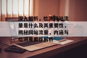 深入解析，检测网站流量是什么及其重要性，揭秘网站流量，内涵与检测重要性解析
