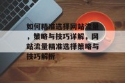 如何精准选择网站流量，策略与技巧详解，网站流量精准选择策略与技巧解析