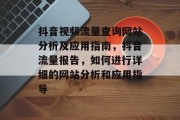 抖音视频流量查询网站分析及应用指南，抖音流量报告，如何进行详细的网站分析和应用指导