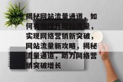 揭秘网站流量通道，如何有效提升网站流量，实现网络营销新突破，网站流量新攻略，揭秘流量通道，助力网络营销突破增长
