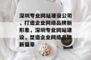 深圳专业网站建设公司，打造企业网络品牌新形象，深圳专业网站建设，塑造企业网络品牌新篇章