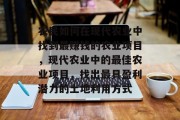 农民如何在现代农业中找到最赚钱的农业项目,现代农业中的最佳农业项目,找出最具盈利潜力的土地利用方式