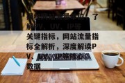 揭秘网站流量单位，了解PV、UV、IP等关键指标，网站流量指标全解析，深度解读PV、UV、IP等核心数据