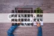 深入解析网站流量受众的定义与重要性，揭秘网站流量受众，定义与关键影响力解析