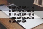 揭秘网站流量统计，如何有效统计别人网站流量？网站流量统计奥秘，揭秘高效监控他人网站访问量的秘诀