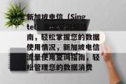 新加坡电信（Singtel）查流量网站指南，轻松掌握您的数据使用情况，新加坡电信流量使用查询指南，轻松管理您的数据消费