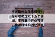 宝兴做什么生意赚钱?你可以考虑以下五个领域,宝兴五个行业可选,快速赚钱的创业项目