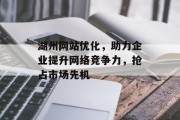 湖州网站优化，助力企业提升网络竞争力，抢占市场先机