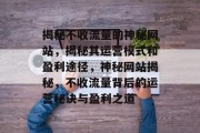 揭秘不收流量的神秘网站，揭秘其运营模式和盈利途径，神秘网站揭秘，不收流量背后的运营秘诀与盈利之道