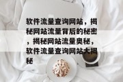 软件流量查询网站，揭秘网站流量背后的秘密，揭秘网站流量奥秘，软件流量查询网站大揭秘