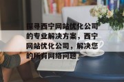探寻西宁网站优化公司的专业解决方案，西宁网站优化公司，解决您的所有网络问题