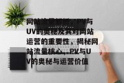 网站流量解析，PV与UV的奥秘及其对网站运营的重要性，揭秘网站流量核心，PV与UV的奥秘与运营价值