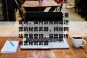 深度解析网站每日流量查询，如何洞察网站运营的秘密武器，揭秘网站流量查询，深度解析运营秘密武器