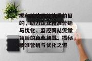 揭秘监控网站流量的目的，助力企业精准营销与优化，监控网站流量背后的商业智慧，揭秘精准营销与优化之道