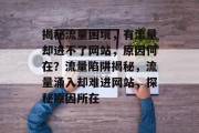 揭秘流量困境，有流量却进不了网站，原因何在？流量陷阱揭秘，流量涌入却难进网站，探秘原因所在