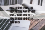 网站流量统计IP，揭秘网站数据分析的秘密武器，网站流量统计，揭秘数据分析中的IP追踪利器