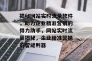 揭秘网站实时流量软件，助力企业精准营销的得力助手，网站实时流量揭秘，企业精准营销的智能利器