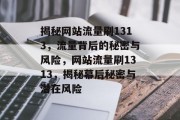 揭秘网站流量刷1313，流量背后的秘密与风险，网站流量刷1313，揭秘幕后秘密与潜在风险