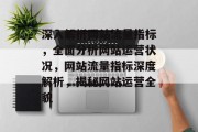 深入解析网站流量指标，全面分析网站运营状况，网站流量指标深度解析，揭秘网站运营全貌