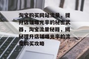 淘宝购买网站流量，提升店铺曝光率的秘密武器，淘宝流量秘籍，揭秘提升店铺曝光率的流量购买攻略