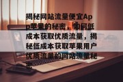 揭秘网站流量便宜App苹果的秘密，如何低成本获取优质流量，揭秘低成本获取苹果用户优质流量的网站流量秘密