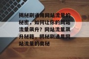 揭秘刷通用网站流量的秘密，如何让你的网站流量飙升？网站流量飙升秘籍，揭秘刷通用网站流量的奥秘