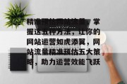 精准预估网站流量，掌握这五种方法，让你的网站运营如虎添翼，网站流量精准预估五大策略，助力运营效能飞跃