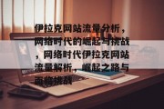 伊拉克网站流量分析，网络时代的崛起与挑战，网络时代伊拉克网站流量解析，崛起之路与面临挑战
