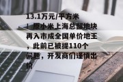 13.1万元/平方米！原小米上海总部地块再入市成全国单价地王，此前已被提110个问题，开发商们谨慎出价