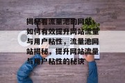 揭秘看流量池的网站，如何有效提升网站流量与用户粘性，流量池网站揭秘，提升网站流量与用户粘性的秘诀