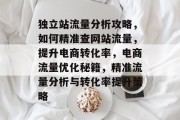 独立站流量分析攻略，如何精准查网站流量，提升电商转化率，电商流量优化秘籍，精准流量分析与转化率提升策略
