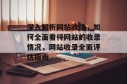 深入解析网站收录，如何全面看待网站的收录情况，网站收录全面评估指南