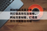 揭秘网站流量之母，如何打造高效引流策略，网站流量秘籍，打造高效引流策略全攻略