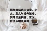 揭秘网站访问流量，定义、意义与提升策略，网站流量揭秘，定义、价值与增长攻略