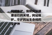 网站维护，保障网站健康运行的关键，网站维护，守护网站生命线的守护神