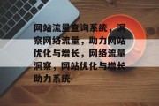 网站流量查询系统，洞察网络流量，助力网站优化与增长，网络流量洞察，网站优化与增长助力系统
